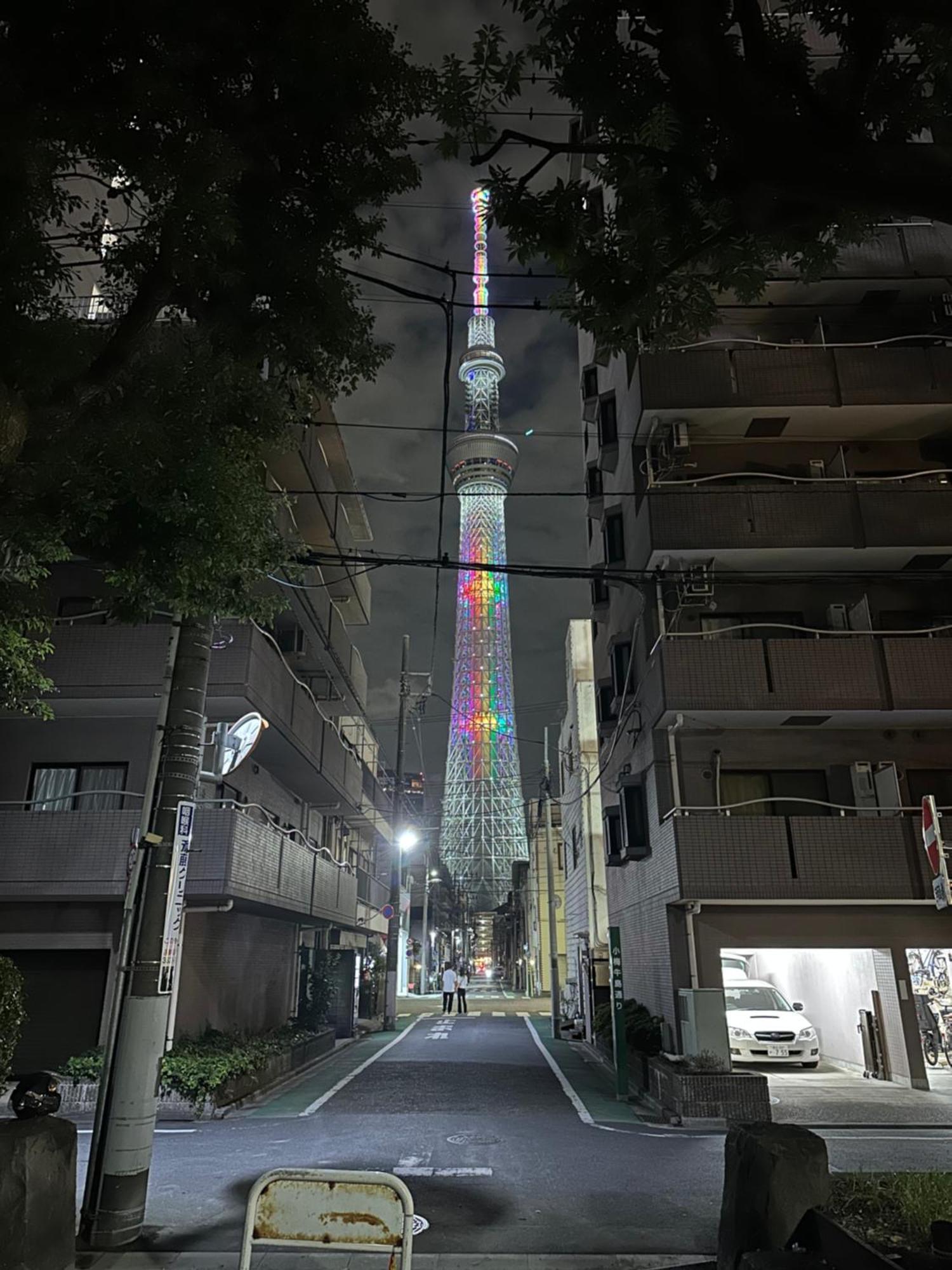 Wise Park Mukojima Apartment Tokyo Ngoại thất bức ảnh