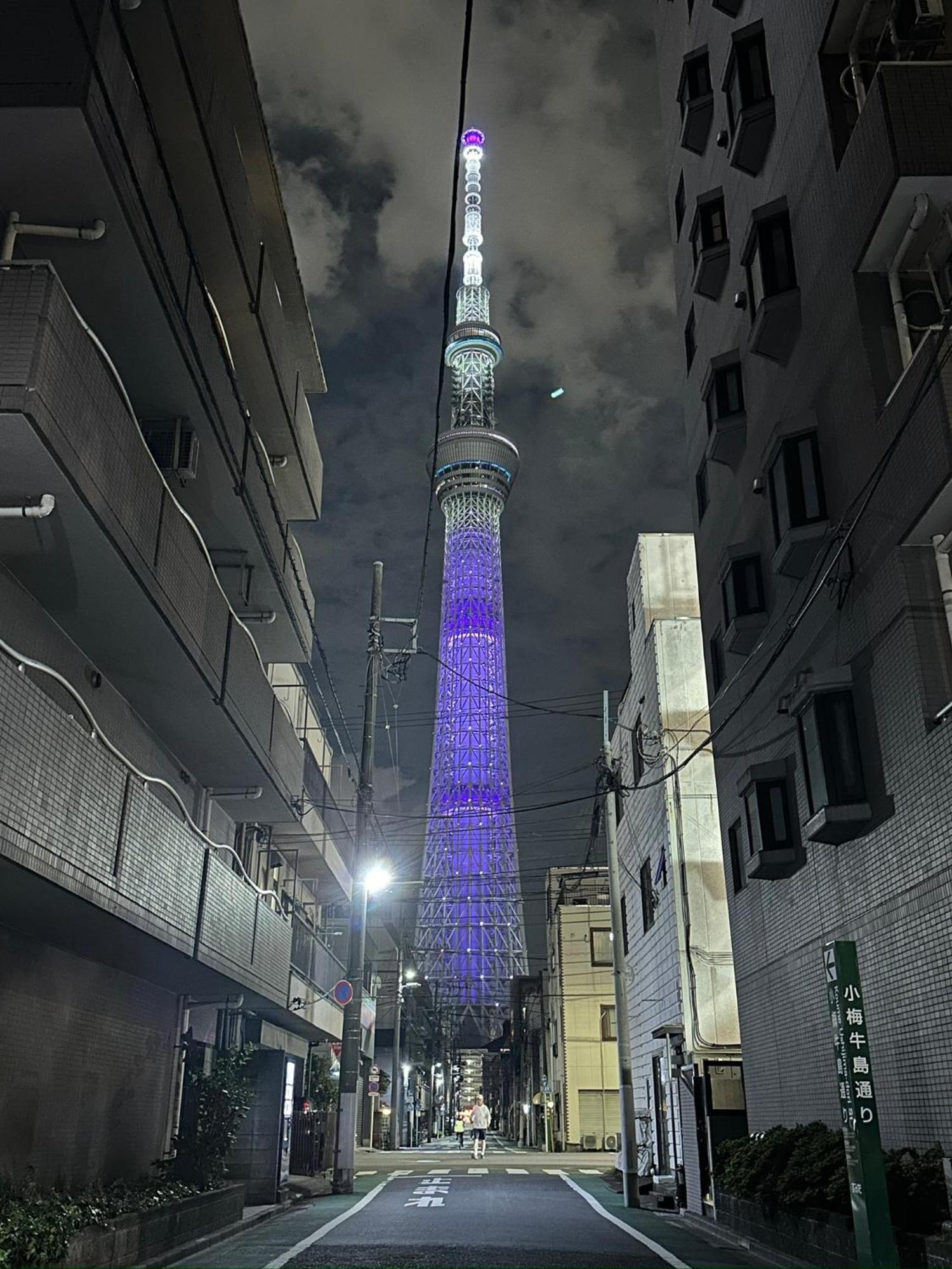 Wise Park Mukojima Apartment Tokyo Ngoại thất bức ảnh